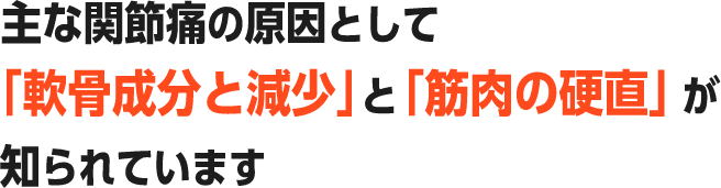 主な関節痛の原因として「軟骨成分の減少」と「筋肉の硬直」が知られています